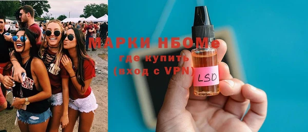 индика Балахна