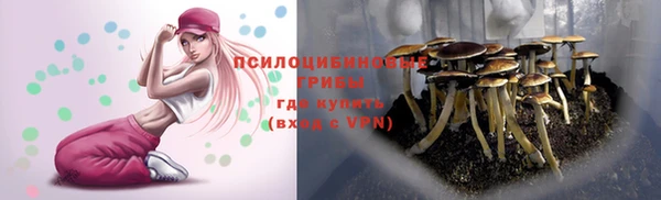 индика Балахна