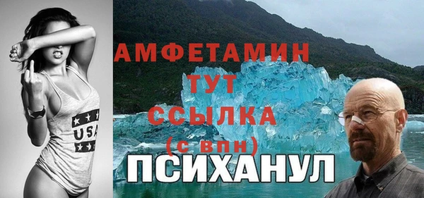 индика Балахна
