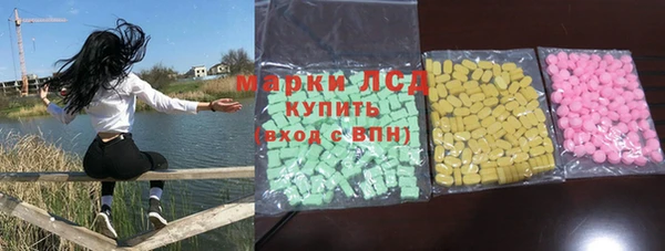 индика Балахна