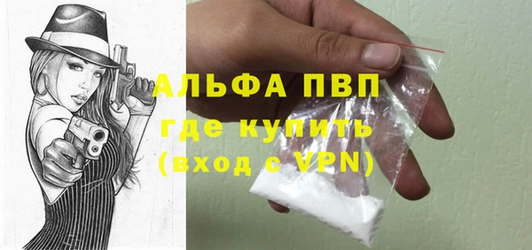 индика Балахна