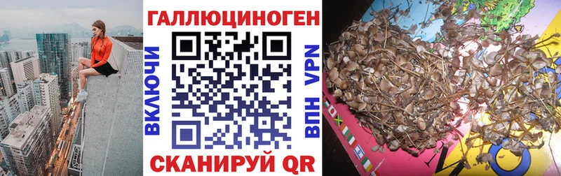 Псилоцибиновые грибы мицелий мега ССЫЛКА Красный Сулин